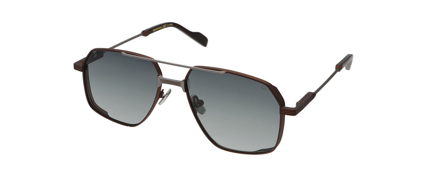 Quantum Q222.C6 Erkek Quantum Güneş Gözlüğü