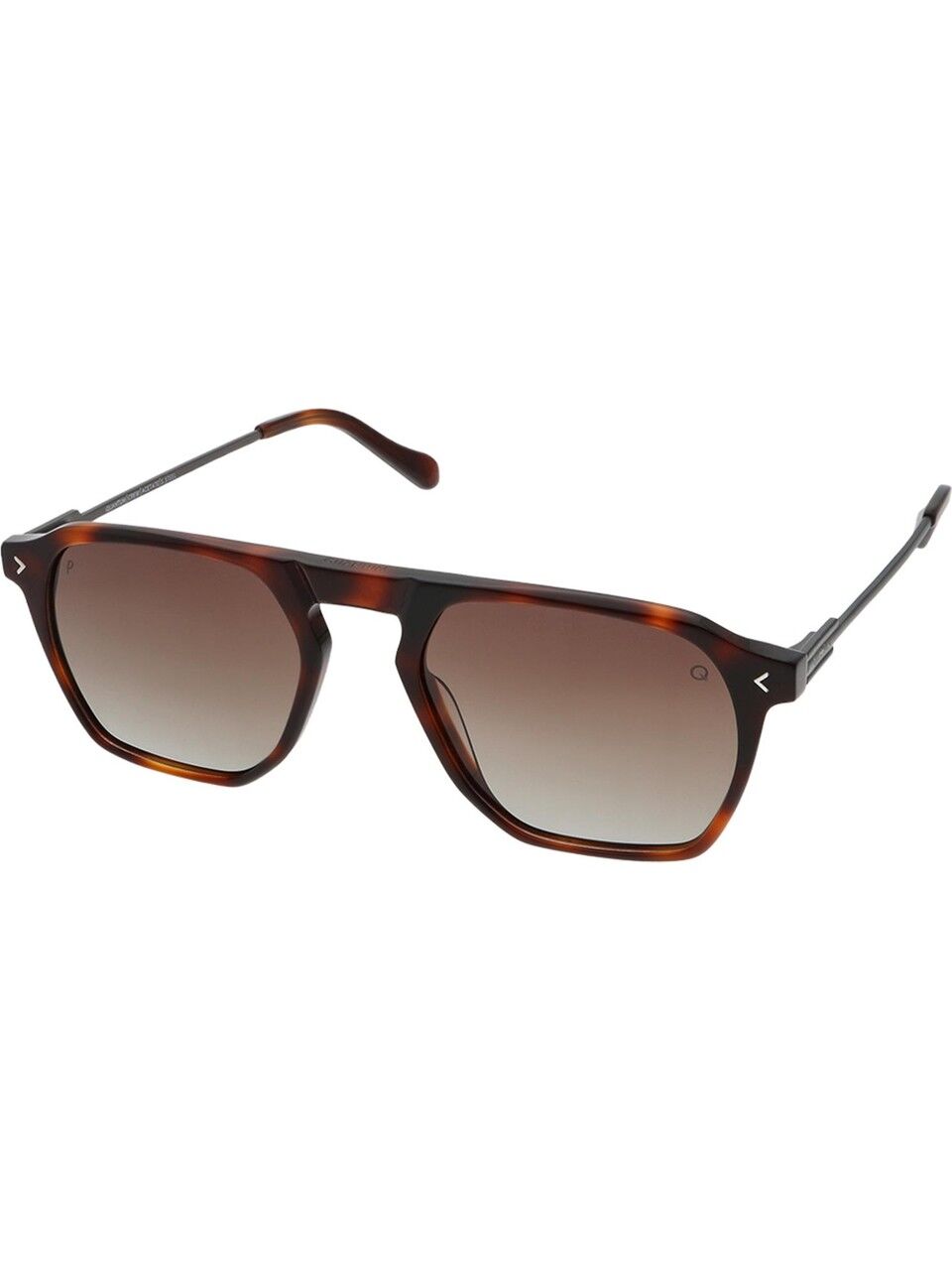 Quantum Q186.C2 51 Polarize Unisex Güneş Gözlüğü
